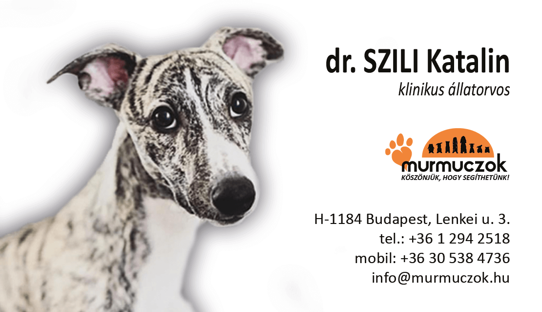 dr-szili-kata