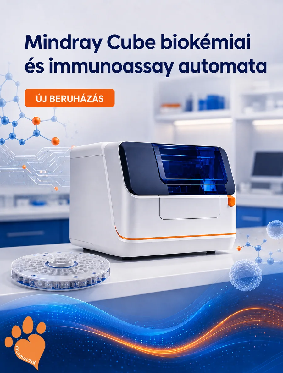 Mindray Cube biokémiai és immunoassay automata a Murmuczok Állatgyógyászati Centrum laborjában