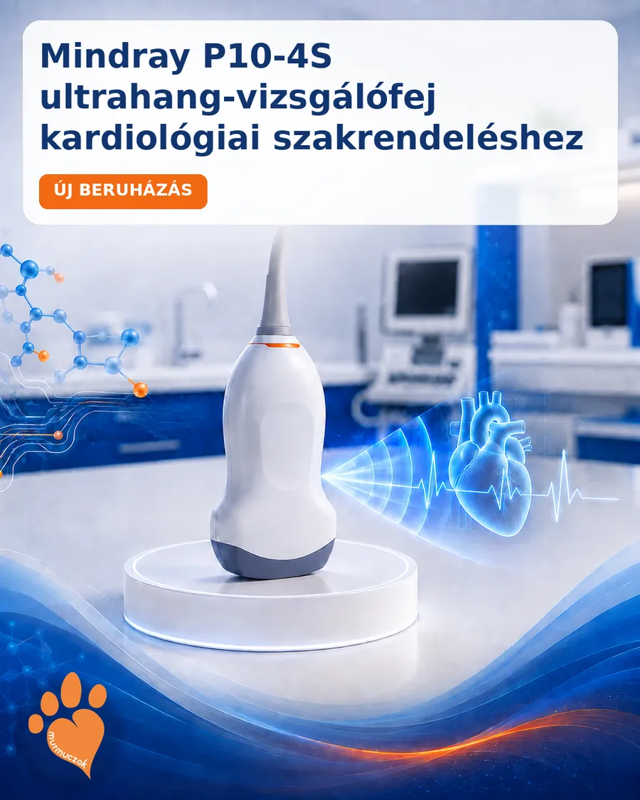 Mindray P10-4S kardiológiai ultrahang-vizsgálófej macskák és kisebb testű kutyák szívvizsgálatához