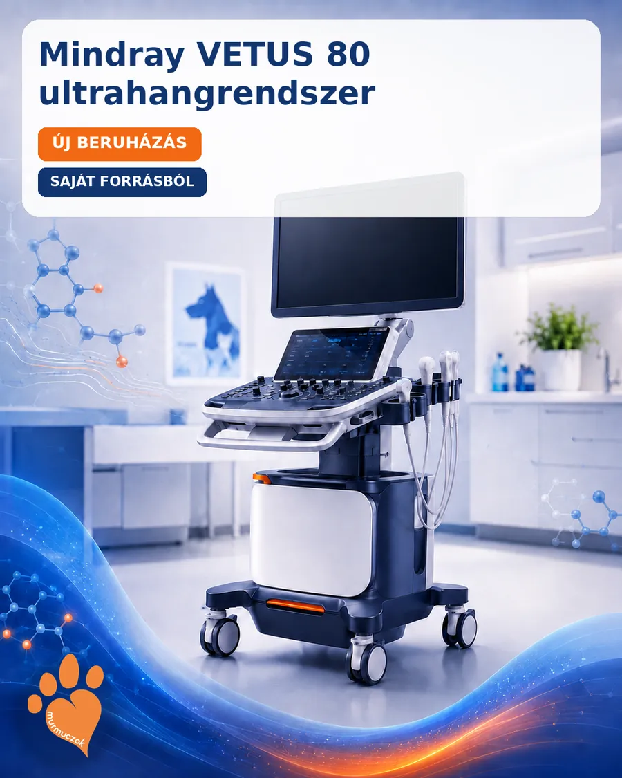 Mindray VETUS 80 ultrahangrendszer a Murmuczok Állatgyógyászati Centrumban