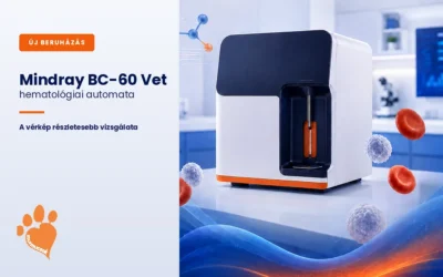 Mit mesélhet a vérkép kedvencünk állapotáról?