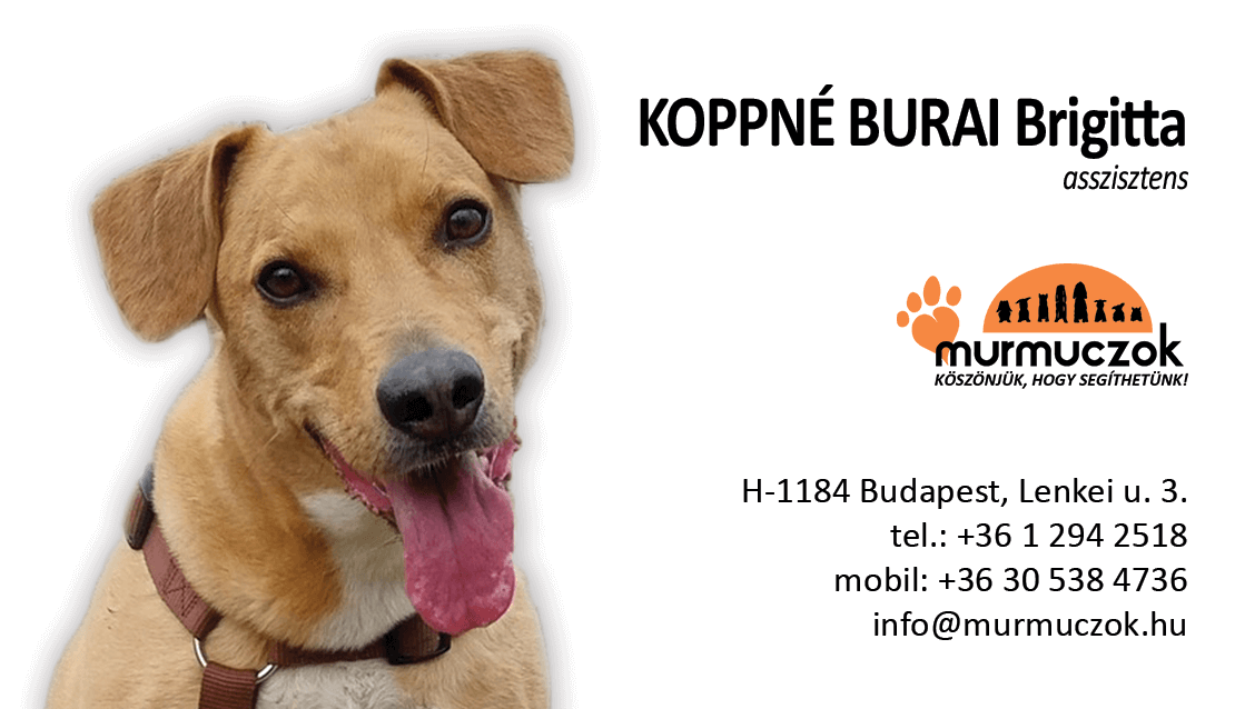 nevjegyek_koppne_burai_brigitta