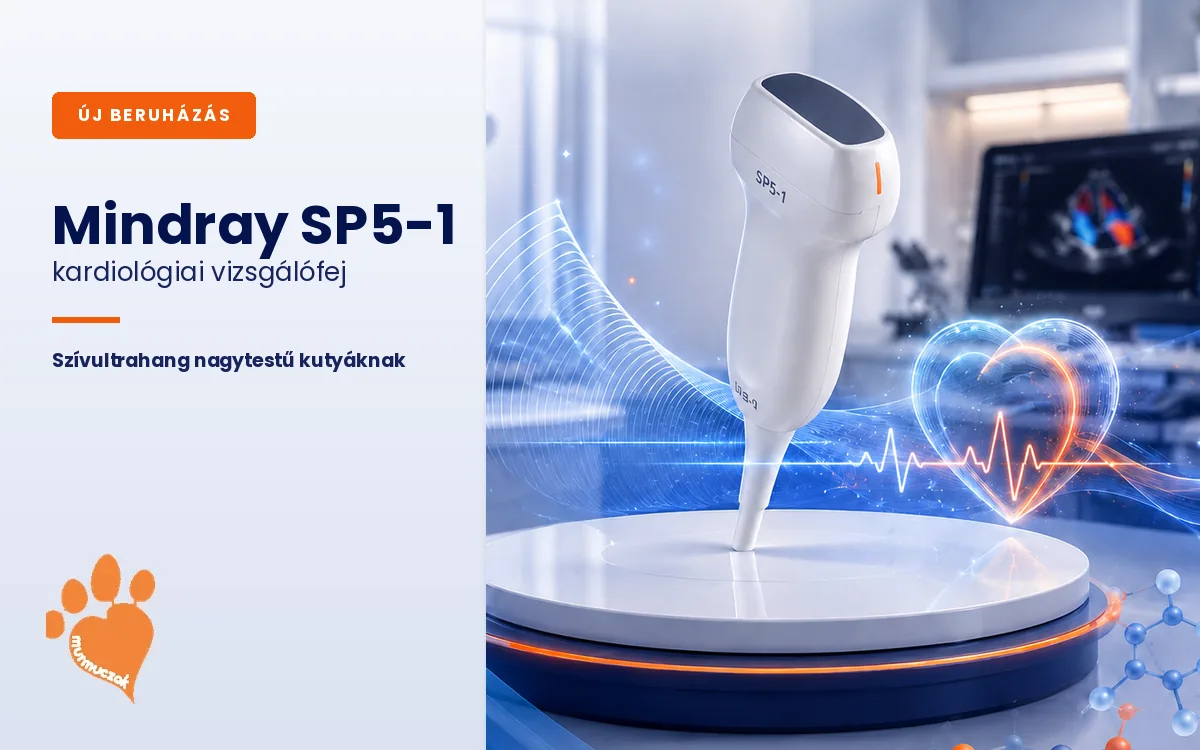 szivultrahang-nagytestu-kutyaknak-mindray-sp5-1 Mindray SP5-1 kardiológiai vizsgálófej – szívultrahang nagytestű kutyáknak a Murmuczok Állatgyógyászati Centrumban